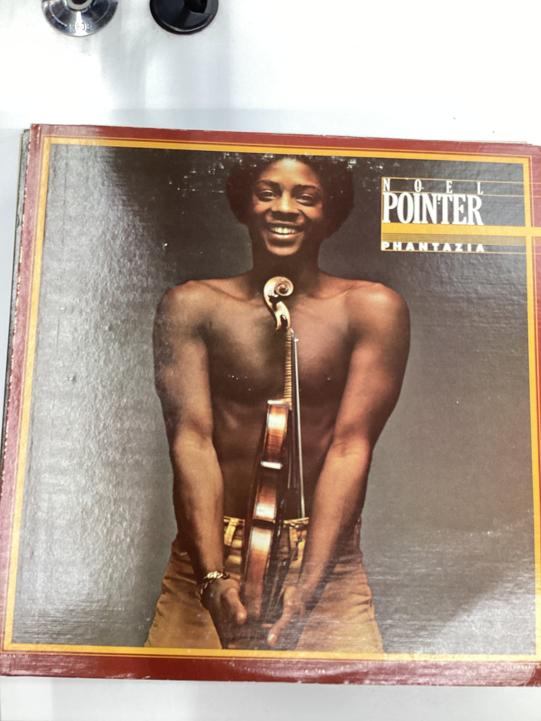 Noel Pointer Phantazia