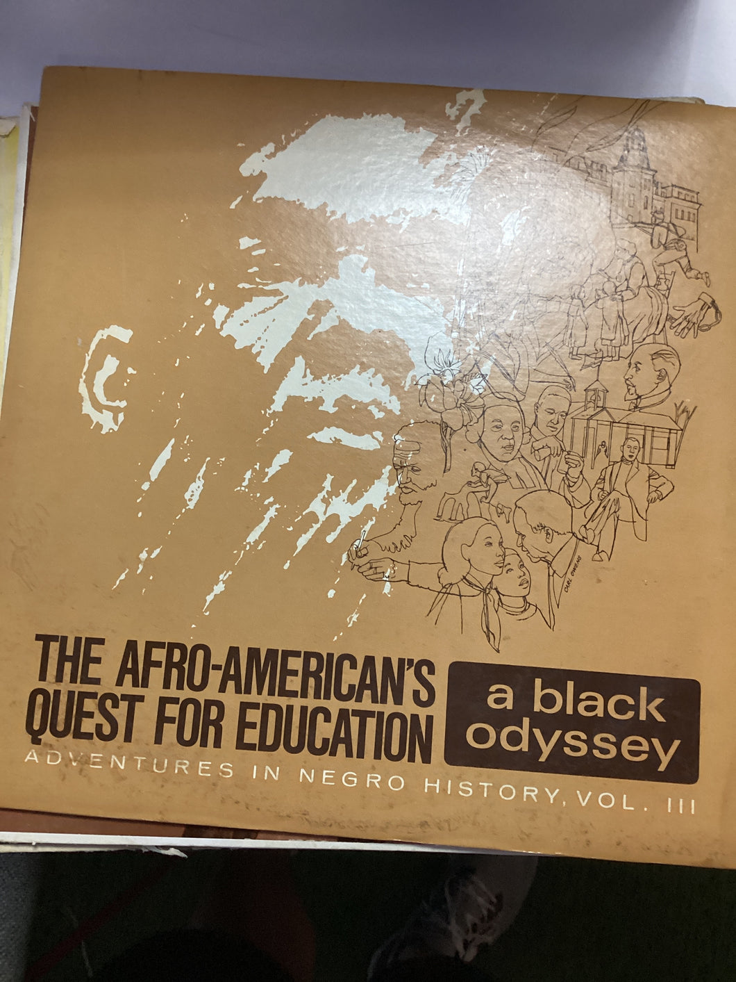 Afro Americans Quest for Education