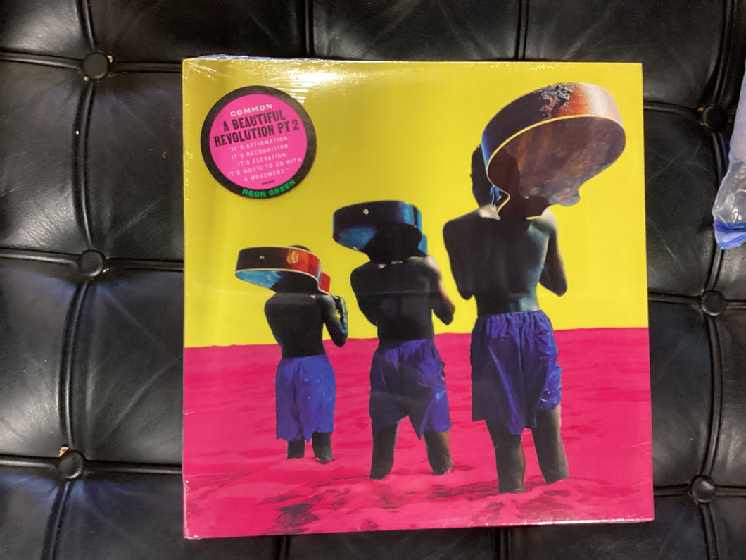 Common Beautiful Revolution pt2