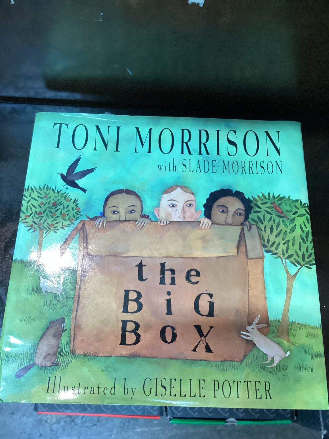 Toni Morrison The Big Box