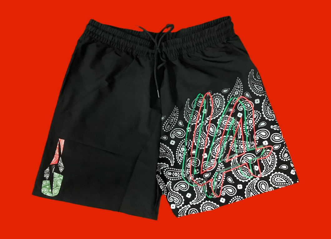 Juneteenth Shorts