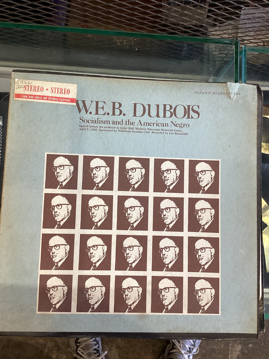 W.E.B. Du Bois, Socialism and the American Negro