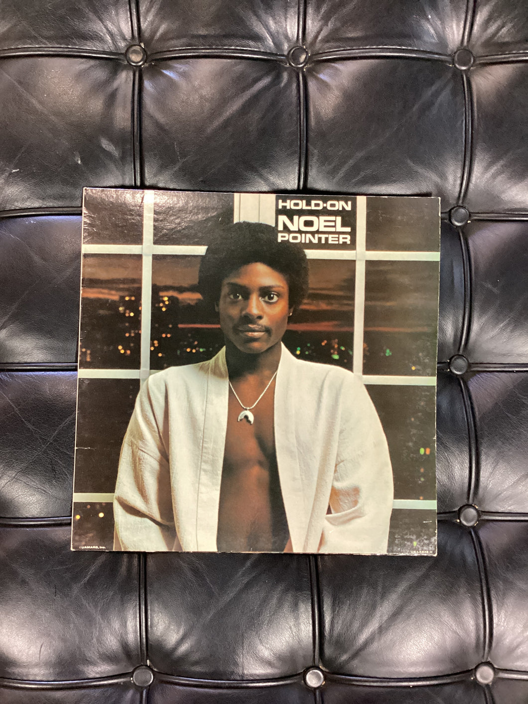 Noel Pointer Hold On